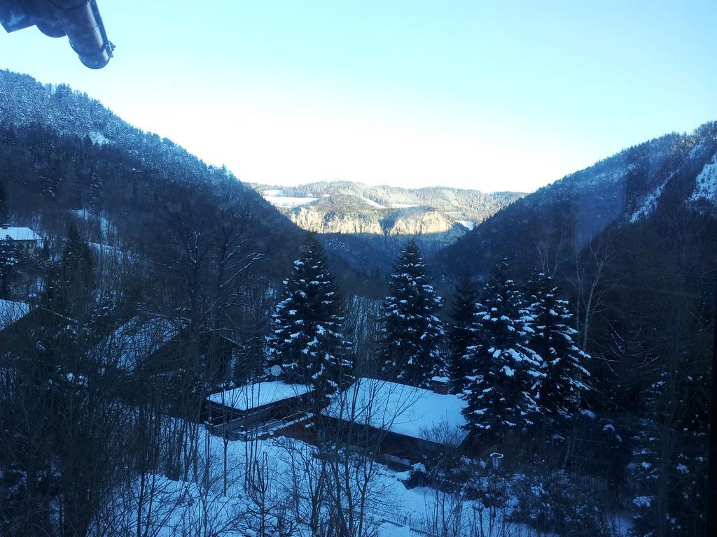 Villa Wellspacher Semmering Zewnętrze zdjęcie