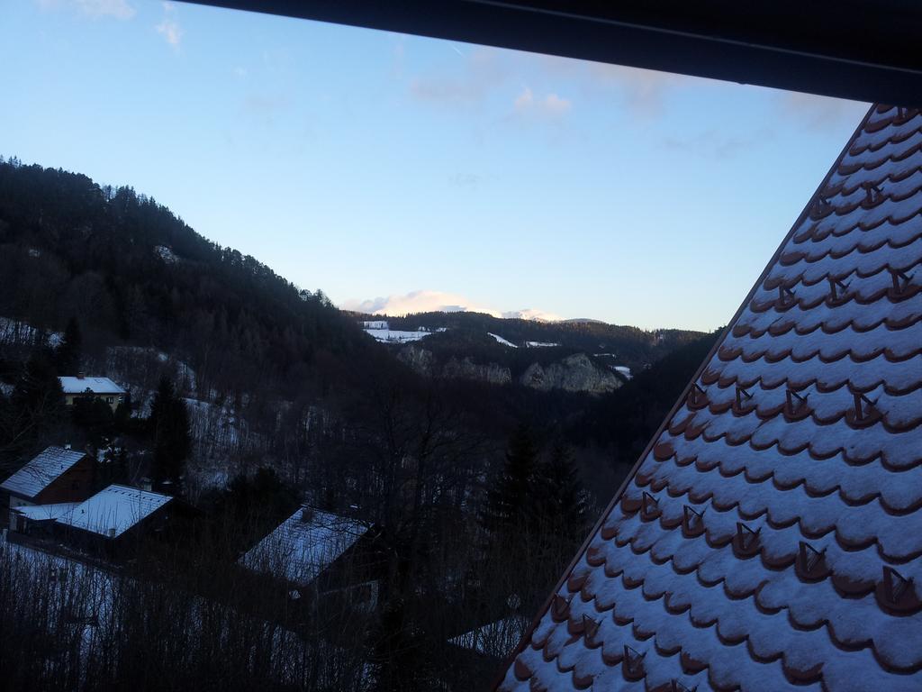 Villa Wellspacher Semmering Zewnętrze zdjęcie