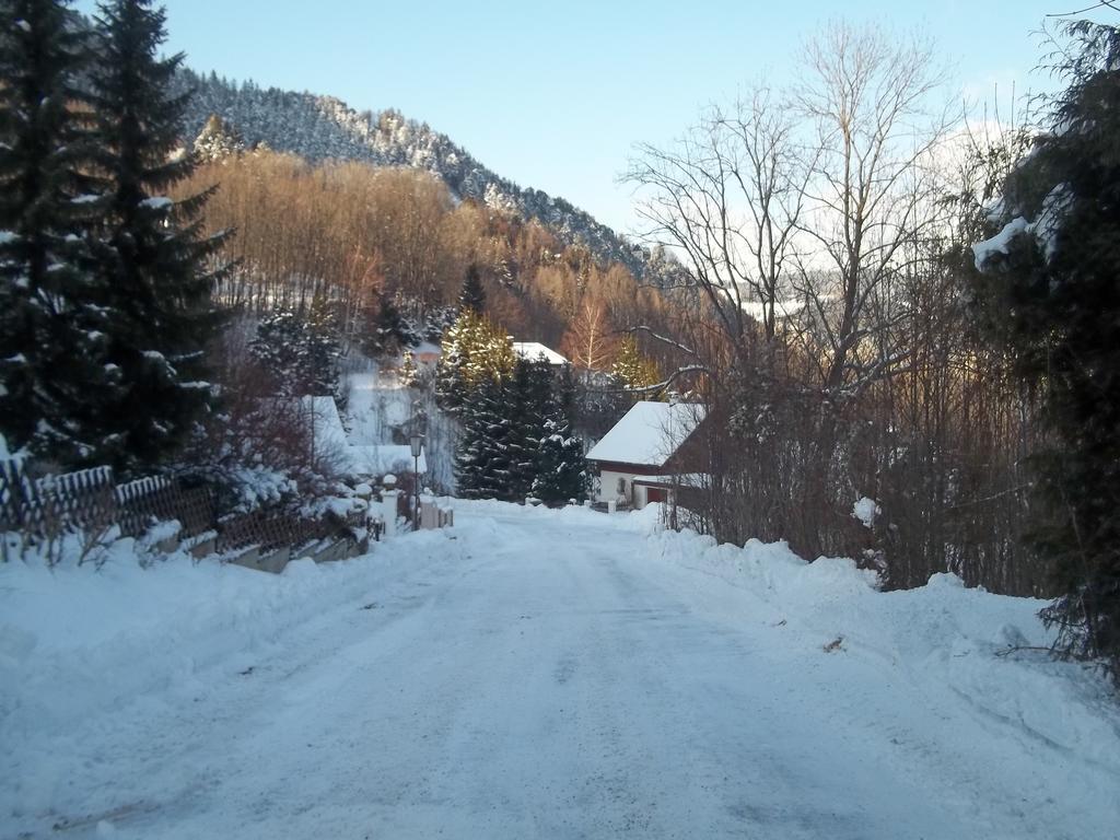Villa Wellspacher Semmering Zewnętrze zdjęcie
