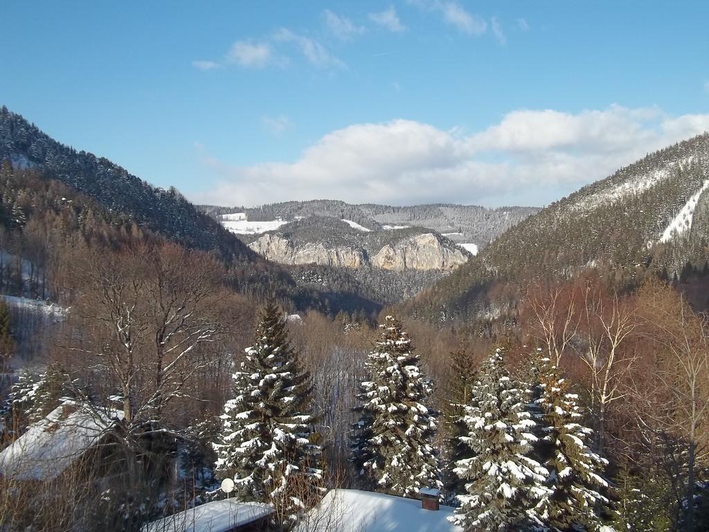 Villa Wellspacher Semmering Zewnętrze zdjęcie