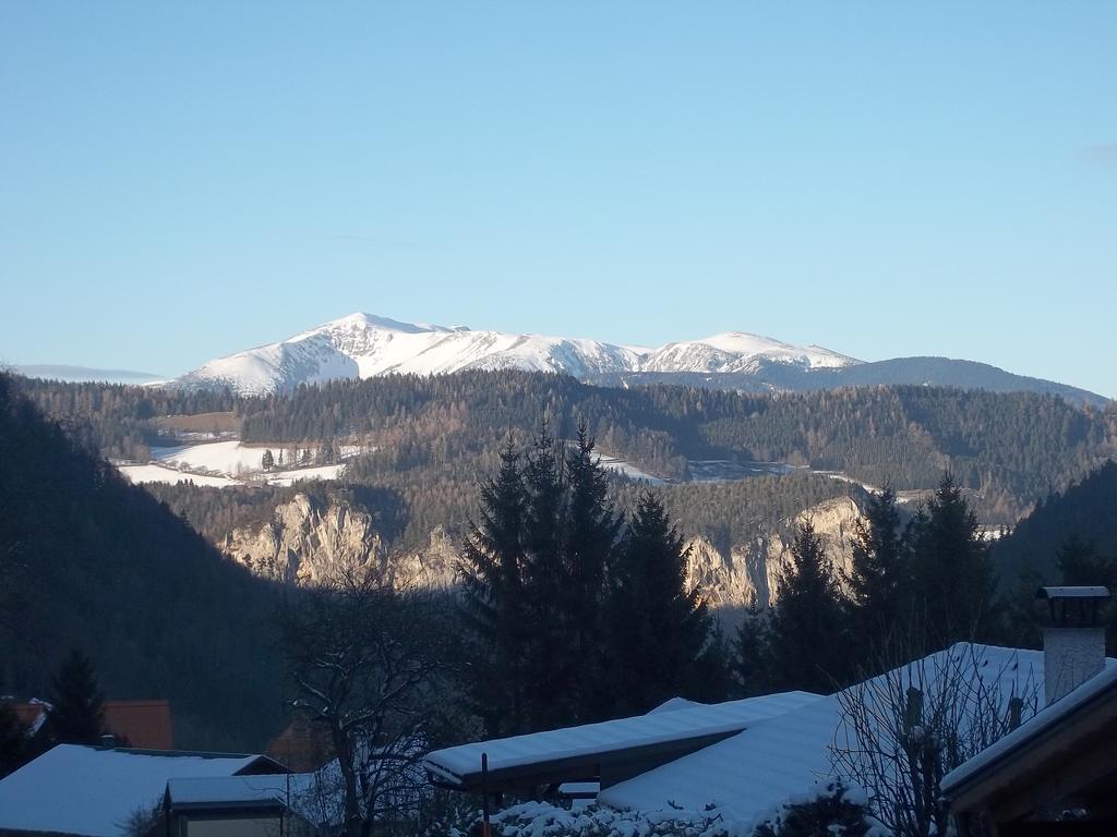 Villa Wellspacher Semmering Zewnętrze zdjęcie