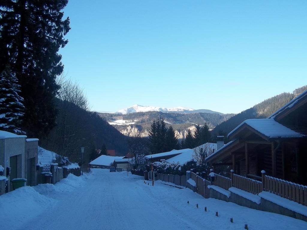 Villa Wellspacher Semmering Zewnętrze zdjęcie
